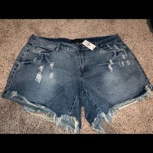 Ashley Stewart distressed shorts 18